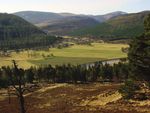 Woodland Biodiversity - A summary of research outputs from the Scottish Government's "Environment - Land Use and Rural Stewardship" research programme