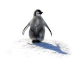 GROWING PAINS 2021 Global Market Outlook - Q4 update - Landmark Wealth ...