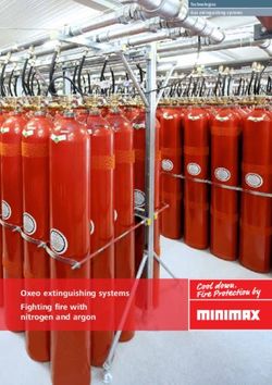 Oxeo extinguishing systems Fighting fire with nitrogen and argon - Technologies Gas extinguishing systems