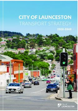 CITY OF LAUNCESTON TRANSPORT STRATEGY 2020-2040