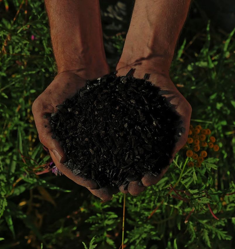 Microsoft carbon removal An update with lessons learned in our second