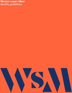 Weston-super-Mare Identity guidelines