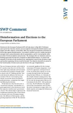 Disinformation and Elections to the European Parliament - Stiftung ...