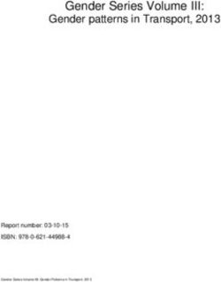 Gender Series Volume III: Gender patterns in Transport, 2013 - Report number