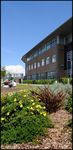 MRes Medical Research Course Handbook 2020-21 - Brighton ...