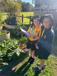 Term 2 Week 6 2021 Principal's Award - Archie - Archie Archie is a ...