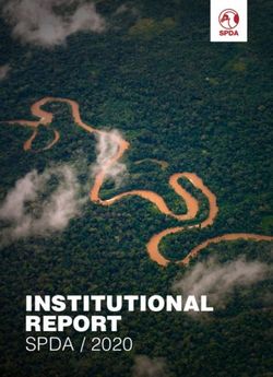 INSTITUTIONAL REPORT SPDA / 2020 - Sociedad Peruana de Derecho ...