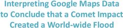 Created a World- wide Flood - Interpreting Google Maps Data to Conclude that a Comet Impact