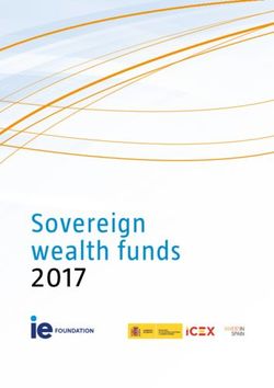 Sovereign wealth funds 2017 - IE