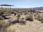BIOLOGICAL RESOURCES REPORT - FOCUSED SURVEY FOR AGASSIZ'S DESERT TORTOISE, HABITAT ASSESSMENTS FOR BURROWING OWL & MOHAVE GROUND SQUIRREL ...
