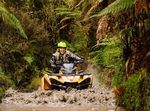 Retreat into the Rainforest - Wellness Retreats NZ