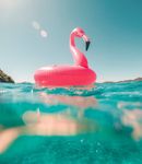 MyeNews Summer 2019 Issue no 52 - Myeloma Australia