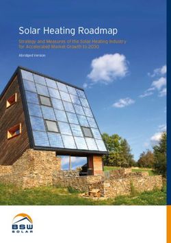 Solar Heating Roadmap - Strategy and Measures of the Solar Heating Industry for Accelerated Market Growth to 2030 - Bundesverband Solarwirtschaft