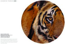 INDIAN TIGERS 2020 8TH JAN TO 19TH JAN 22ND JAN TO 2ND FEB &pound;2995.00 PER PERSON JOIN NATIONAL GEOGRAPHIC MAGAZINE PHOTOGRAPHER ANDY PARKINSON FOR ...