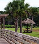 Florida's Newest RV Resort Open in Lake Wales, Florida 1 hr 15min from Orlando, Tampa Close to major attractions Book Online or Over The Phone | ...