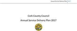 Annual Service Delivery Plan 2017 - Cork County Council Annual Service Delivery Plan 2017