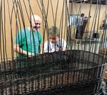 WILLOW COFFINS Handmade in Somerset - Musgrove Willows Coffins