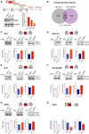 EWS splicing regulation contributes to balancing Foxp1isoforms required for neuronal differentiation