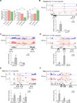 EWS splicing regulation contributes to balancing Foxp1isoforms required for neuronal differentiation