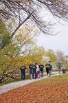 News HOME TOWNThe City of Live Oak - VOTE - FEB 2017