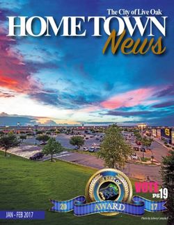 News HOME TOWNThe City of Live Oak - VOTE - FEB 2017