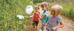 SUMMER CAMP GUIDE What are your kids doing this summer? - Fox Valley Park District - Fox Valley ...