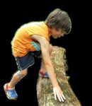 SUMMER CAMP GUIDE What are your kids doing this summer? - Fox Valley Park District - Fox Valley ...