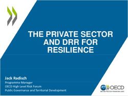 THE PRIVATE SECTOR AND DRR FOR RESILIENCE - Jack Radisch Programme Manager OECD High Level Risk Forum Public Governance and Territorial ...