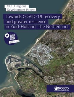 Towards COVID-19 recovery and greater resilience in Zuid-Holland, The Netherlands - OECD Regional Development Papers