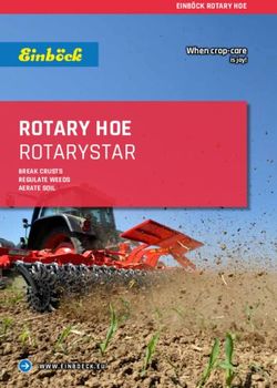 ROTARY HOE ROTARYSTAR - When crop-care - Einb&ouml;ck