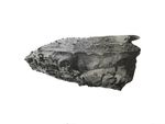 JOHANNA LOVE DUST, DRAWING AND TIME - Exploring the relationship between scientific image-making and hand-drawing - The University of ...