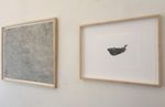 JOHANNA LOVE DUST, DRAWING AND TIME - Exploring the relationship between scientific image-making and hand-drawing - The University of ...