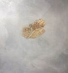 JOHANNA LOVE DUST, DRAWING AND TIME - Exploring the relationship between scientific image-making and hand-drawing - The University of ...