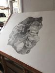 JOHANNA LOVE DUST, DRAWING AND TIME - Exploring the relationship between scientific image-making and hand-drawing - The University of ...