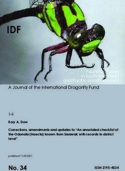 IDF IDF - International Dragonfly Fund (IDF)