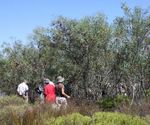 Local Action for Biodiversity (LAB), City of Cape Town Biodiversity and Climate Change Assessment Report Step 1 of LAB Pioneer Biodiversity and ...
