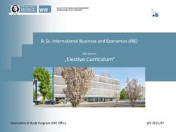 "Elective Curriculum" - B. Sc. International Business and Economics (IBE) - WS 2021/22 - ISP