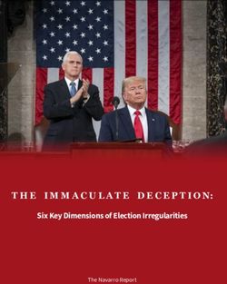 THE IMMACULATE DECEPTION: Six Key Dimensions of Election Irregularities The Navarro Report - Bannon's War Room