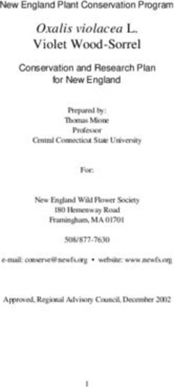 Oxalis violacea L. Violet Wood-Sorrel - Native Plant Trust