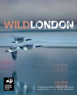 Protecting London's wildlife for the future - WINTER 2017 I 114 I COOL FLURRIES - London Wildlife Trust