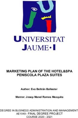 MARKETING PLAN OF THE HOTEL&SPA PENISCOLA PLAZA SUITES - AE1049 - FINAL DEGREE PROJECT