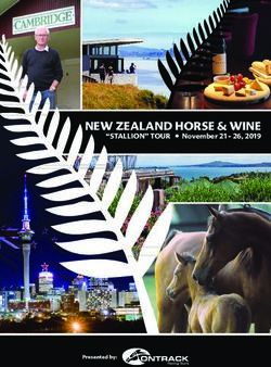 NEW ZEALAND HORSE & WINE - "STALLION" TOUR November 21 - 26, 2019 - Presented by: Ontrack Racing Tours