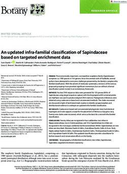 An updated infra-familial classification of Sapindaceae based on targeted enrichment data