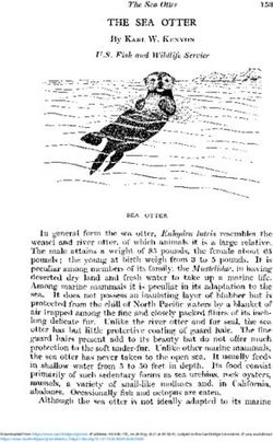 THE SEA OTTER - Cambridge University Press