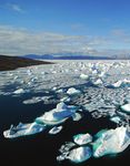 Arctic shipping - The rapid retreat of sea ice in the Arctic is opening up new opportunities for shipping companies, but can they rely on current ...