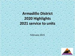 Armadillo District 2020 Highlights 2021 service to units - February 2021