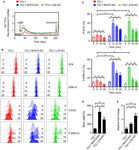 Genetic Loss of LCK Kinase Leads to Acceleration of Chronic Lymphocytic Leukemia - Frontiers