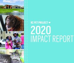 2020 IMPACT REPORT - KC Pet Project