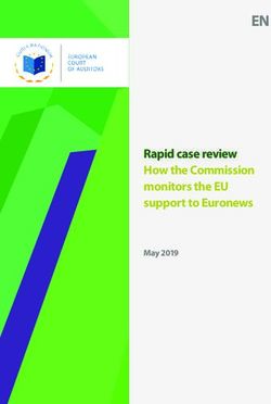 EN - Rapid case review How the Commission monitors the EU support to Euronews May 2019