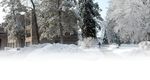 Leading Leaders BSU Alumnus Equips Executives in Esteemed Program - Getting Their Heads into the Game - Bemidji ...